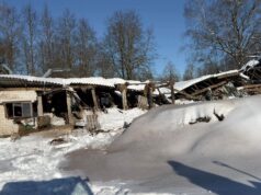 Ūkininkas Petras Šiaučiūnas: sugriuvęs tvartas, sužalotas pirštas ir nepalaužta dvasia