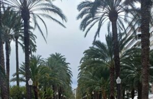 Dvi dienos Alikantėje