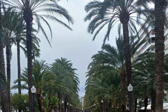 Dvi dienos Alikantėje