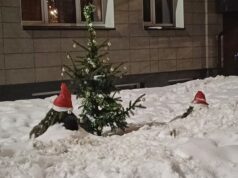 Pusnynuos nykštukai miega…