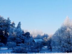 Šalčiausia pirmadienio naktis fiksuota Šeduvoje – šalo iki 34 laipsnių