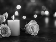 Užuojauta dėl Alvydo Stankūno mirties