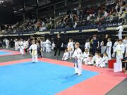 Kėdainių kyokushin varžybose – rokiškėnas