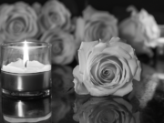 Užuojauta Daliai Baltrukėnienei