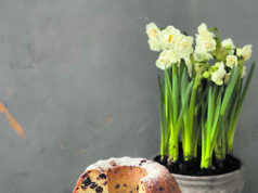 Mano mėgstamiausias keksas – tas, prie kurio visada norisi sugrįžti