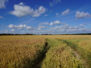 Žemės ūkio naudmenų deklaravimas 2026 m.: kas naujo?