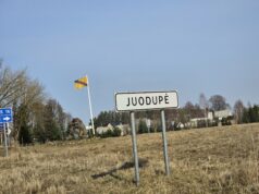 Smurtas viešoje vietoje