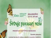 Ansamblių šventė Pandėlyje