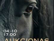 Rokiškio jaunimo centre – gerumo vakaras: antrajame paramos aukcione bus tiesiama pagalba „Arklių slėniui“