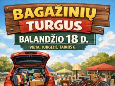 Bagažinių turgus Rokiškyje