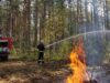 Šiltasis sezonas miške: ką būtina žinoti lankytojams