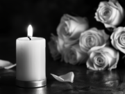 Užuojauta Danguolei Plikelienei