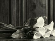 Užuojauta Virginijai Daščiorienei