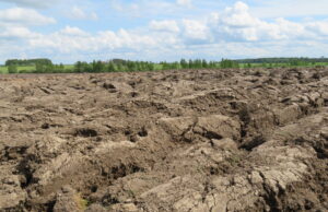 Ne iš gero gyvenimo Rokiškio rajono ūkininkų sąjunga LŪS pakeitė į ŽŪR