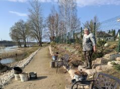 Taką prie Obelių ežero puoselėja savo rankomis