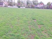 Stadionui trūksta žolės