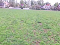 Stadionui trūksta žolės
