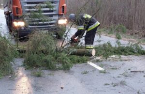 Kelią užtvėrė medis