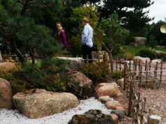 Į Japonišką sodą – kiekvienu metų laiku