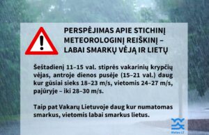 Sinoptikai įspėja: šeštadienį pūs pavojingai stiprus vėjas, gausiai lis