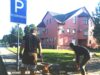 UAB „Vikajaus statyba“: darbai Rokiškyje ir visoje Lietuvoje
