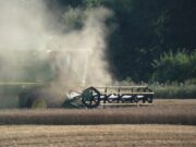 Lietūs Rokiškio rajoną aplenkė, bet šalčiai pakenkė sodams