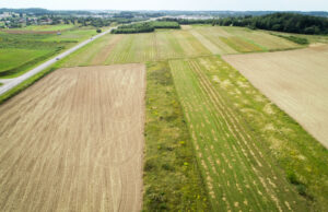 Ūkininkai po audros fiksuoja vis didesnę žalą, nerimaujama ir dėl žieminių javų sėjos