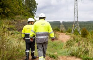 ESO naujausi duomenys: Rokiškio rajone be elektros dar yra pavienių atvejų