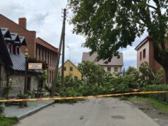 Vasarinės audros žalai atlyginti panaudota beveik 7 tūkst. eurų iš mero rezervo fondo