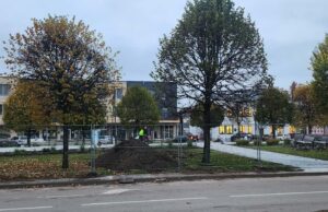 Pasidalino sodinukais – iš Nepriklausomybės a. gėlynų rokiškėnai parsigabeno grožybių