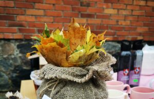 Kamajų „Strazdelis“ planuoja skrydį į Floridą