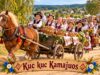 „Kuc kuc Kamajuos!“ – smarkiai populiarėjantis senos dainos naujas variantas