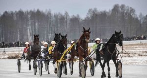 Algimanto BRAZAIČIO nuotr.