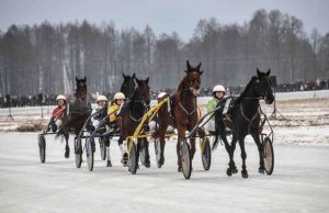 Algimanto BRAZAIČIO nuotr.