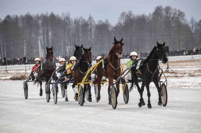 Algimanto BRAZAIČIO nuotr.