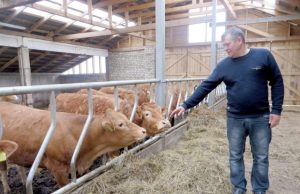 Virginijus Stumbrys: „Daug ko teko išmokti: artėjant veršiavimosi terminui ar galvijui susirgus  –  būni pusiau veterinaras