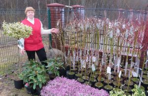Gėlininkė Ekaterina Trukšnienė. A. Mackuvienės nuotr.
