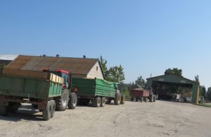 Pirmąjį šių metų derlių į Rokiškio mieste veikiančius elevatorius ūkininkai ėmė gabenti prieš savaitę. Kol kas viskas vyksta sparčiai: didenės eilės nusidriekia iš ryto