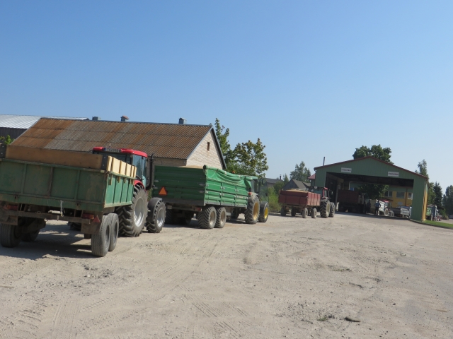 Pirmąjį šių metų derlių į Rokiškio mieste veikiančius elevatorius ūkininkai ėmė gabenti prieš savaitę. Kol kas viskas vyksta sparčiai: didenės eilės nusidriekia iš ryto