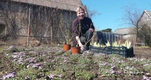 Mugės organizatorė Irma Skrebienė: „Mano siekiamybė – pavasarinę mugę paversti gražia mūsų miesto tradicija