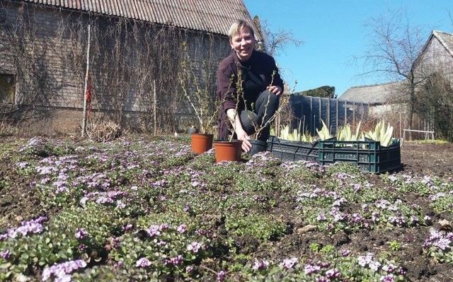 Mugės organizatorė Irma Skrebienė: „Mano siekiamybė – pavasarinę mugę paversti gražia mūsų miesto tradicija Mugės organizatorė Irma Skrebienė: „Mano siekiamybė – pavasarinę mugę paversti gražia mūsų miesto tradicija