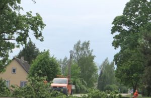 Dėl vėtros nulaužtų medžių ir kitų jos reiškinių per pastarąsias pora dienų elektros tiekimas buvo nutrūkęs 2 tūkst. 500 Rokiškio rajono gyventojų