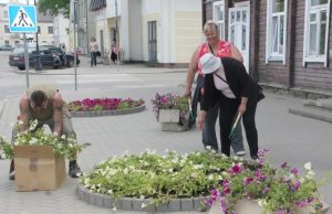 Nepriklausomybės aikštėje persodinamos gėlės