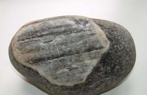 Ką jums primena šie ant akmens gamtos padaryti kontūrai? D.Zibolienės nuotr.