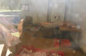 Per murziną lango stiklą darytoje nuotraukoje – ne viena dešimtis kilogramų kiaulienos