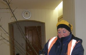 „Per 100 Lt kainavusi liepaitė nulaužta prie pat šaknų“