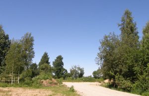 Joninės: dešimtys konfliktų, alkoholis ir jaunuolio mirtis Beveik savaitę ieškotas dvidešimtmetis T.V. gyvenimą baigė Aušros gatvės krūmynuose. L.Dūdaitės nuotr.