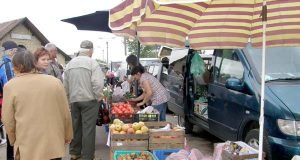 Prie ūkininkų atgabentų šviežių bulvių šeštadienį rikiavosi eilės. Populiariausias pirkinio svoris – 1-2 kilogramai. A.Minkevičienės nuotr.