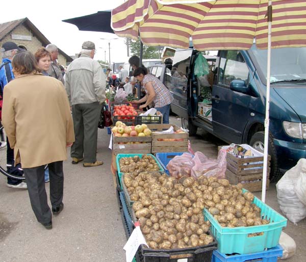 Prie ūkininkų atgabentų šviežių bulvių šeštadienį rikiavosi eilės. Populiariausias pirkinio svoris – 1-2 kilogramai. A.Minkevičienės nuotr. Prie ūkininkų atgabentų šviežių bulvių šeštadienį rikiavosi eilės. Populiariausias pirkinio svoris – 1-2 kilogramai. A.Minkevičienės nuotr.