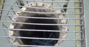 Potvyniui reikia pasirengti – patikrinti telkinių hidrostatinius